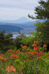 今日の風景