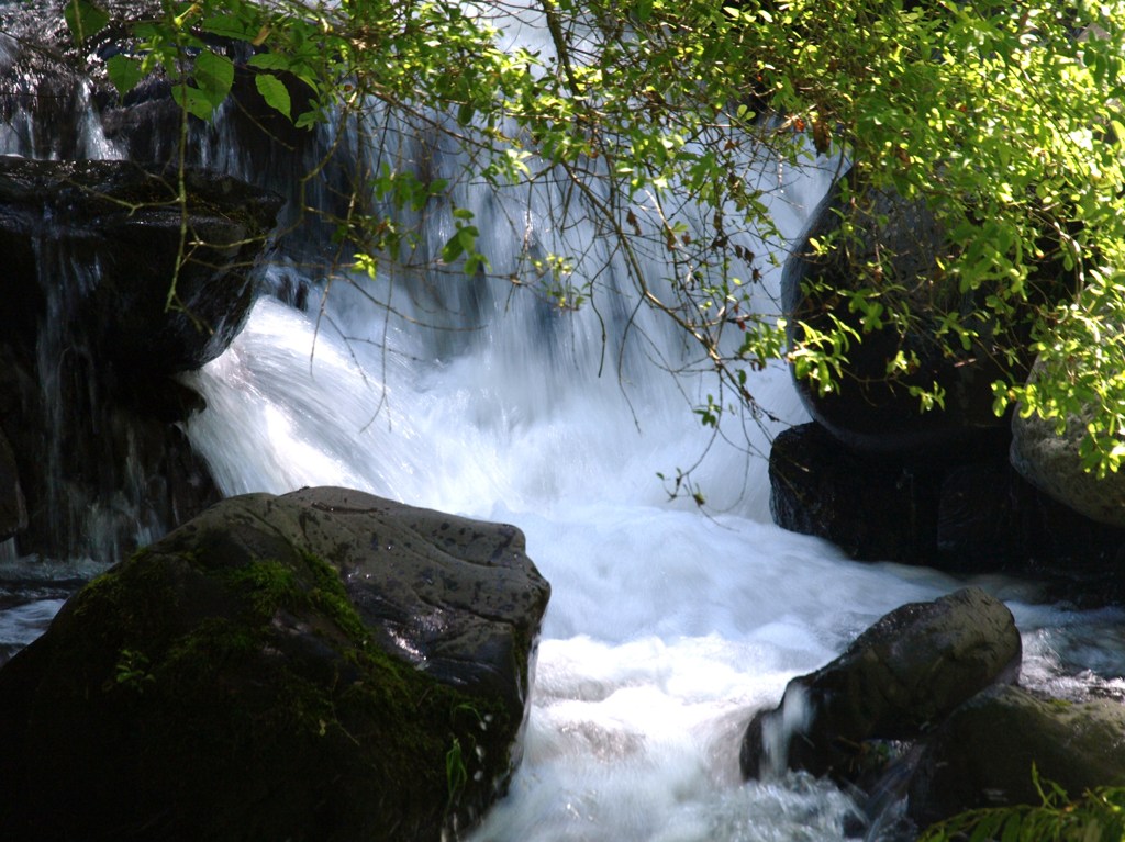 渓流