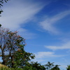 秋空