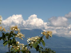 高原の夏雲