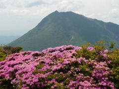 深山霧島と由布岳