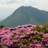 深山霧島と由布岳