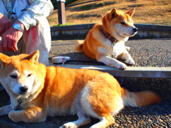 親子