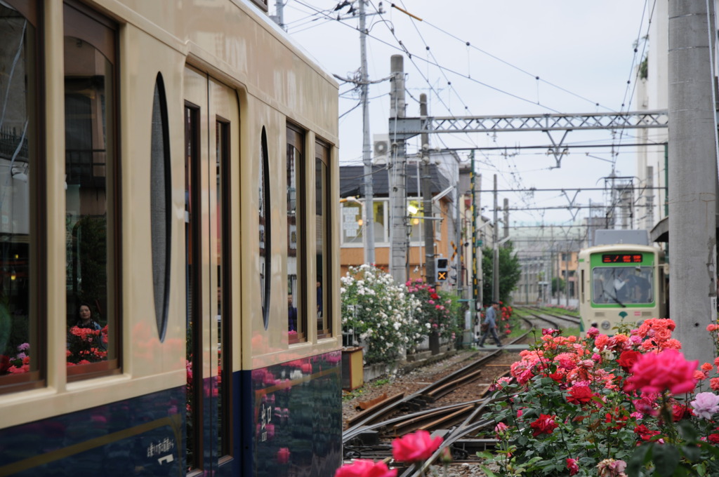 都営荒川線（終着駅）