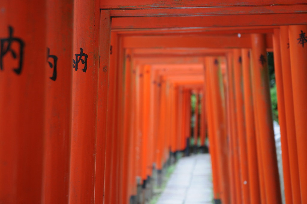 願いのトンネル