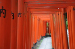 願いのトンネル