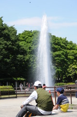初夏