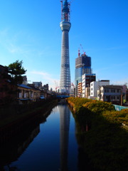 世代交代