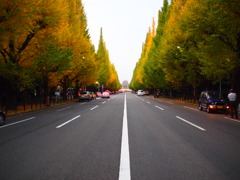 ロングロード