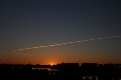 DSC_8018