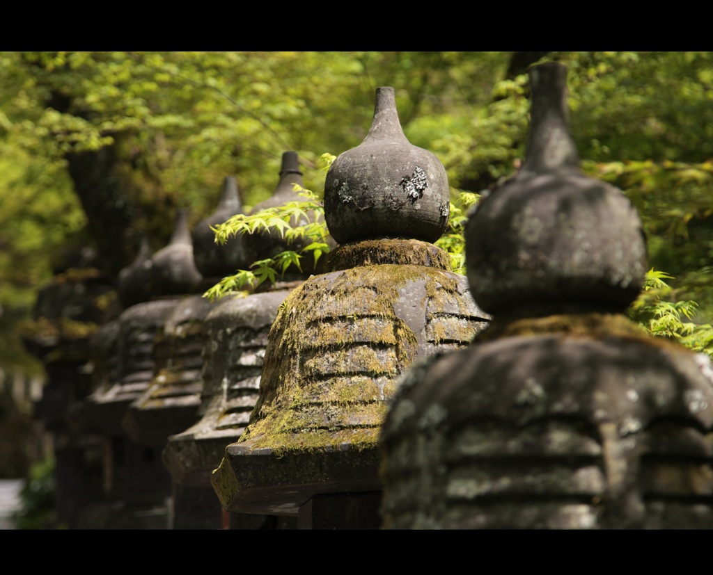 燦燦と