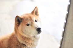よんだ？