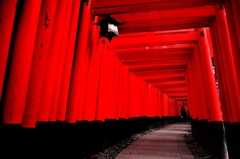 朱