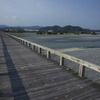 世界一長い木造歩道橋-2