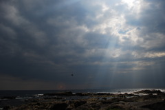 太古の海