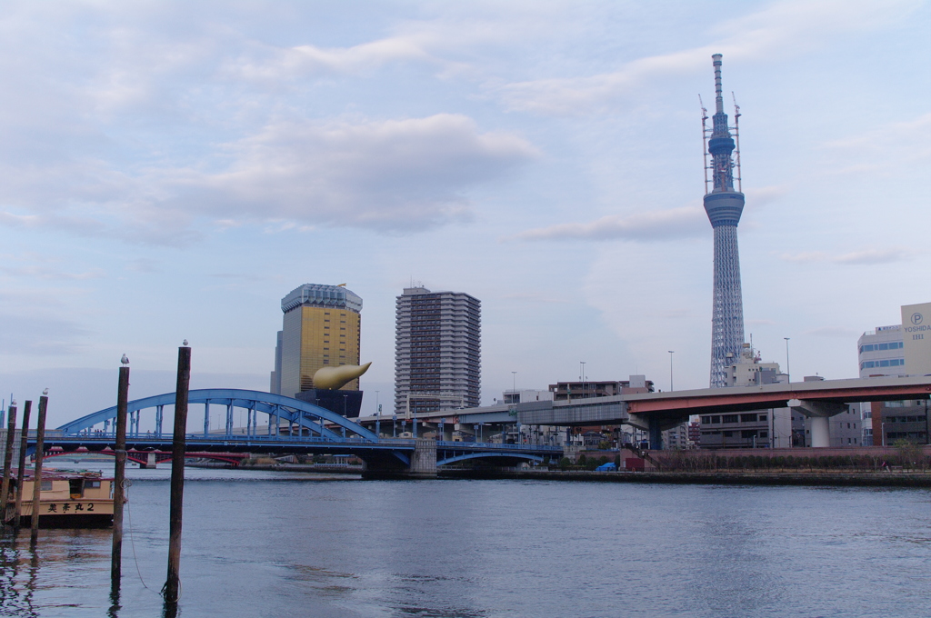 とある隅田川の風景