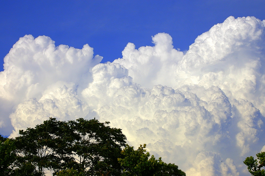 入道雲