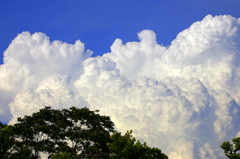 入道雲