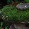 鎮