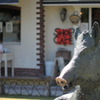 a wild boar