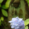 花一輪