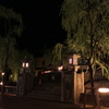 IMG_0866