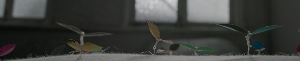 just before flying away