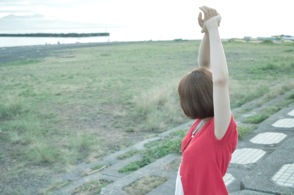 SDIM1321