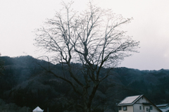 雨あがる