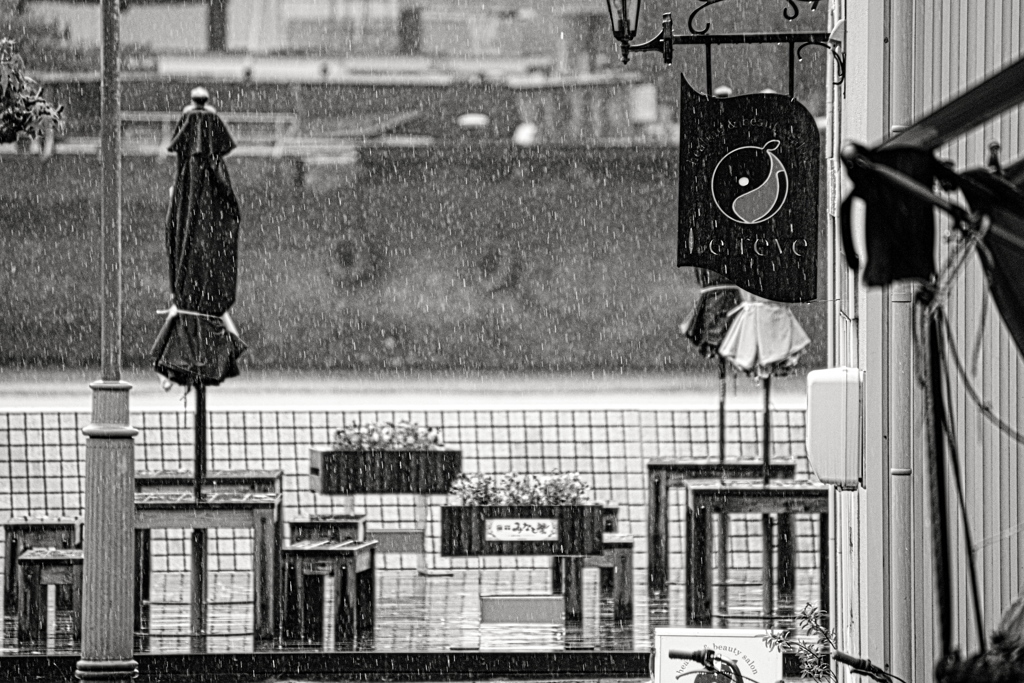 Monochromeの世界