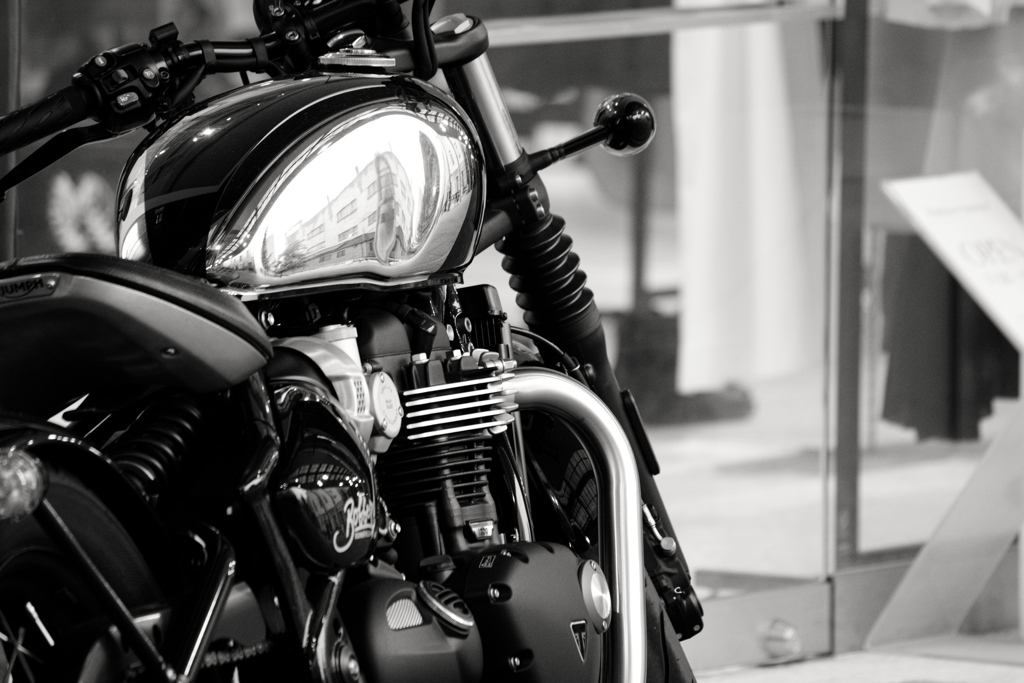 Monochromeの世界