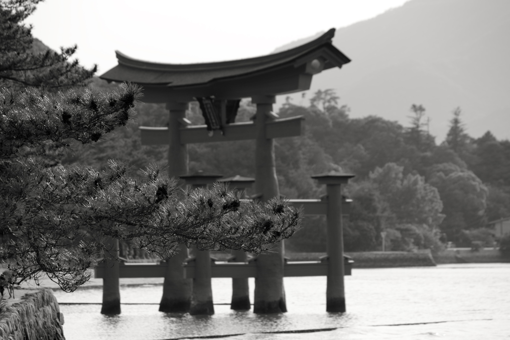 Monochromeの世界