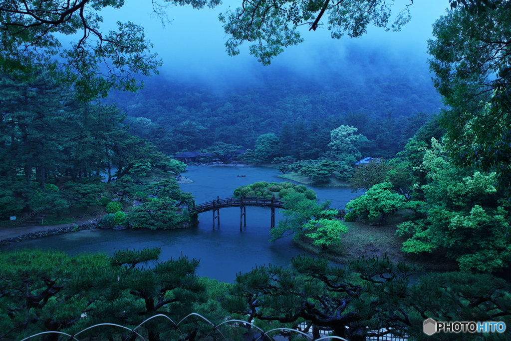 雨の庭園