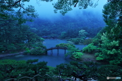 雨の庭園