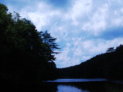 湿原と雲と