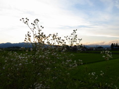 郡山の夕暮れ1