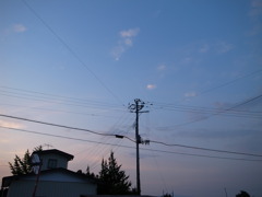 電柱・夕