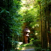 京の裏庭