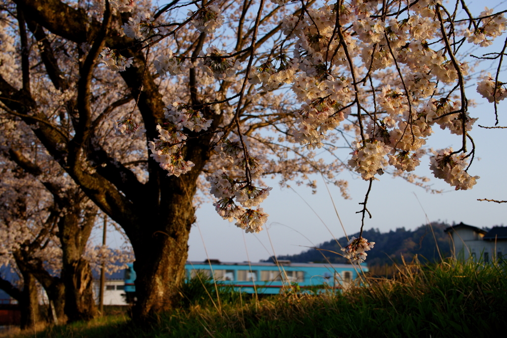 夕暮れ時のタンゴ鉄道