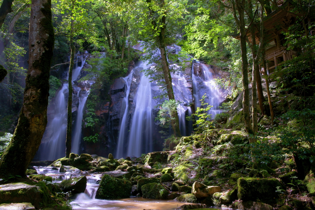 渡り来る風の滝