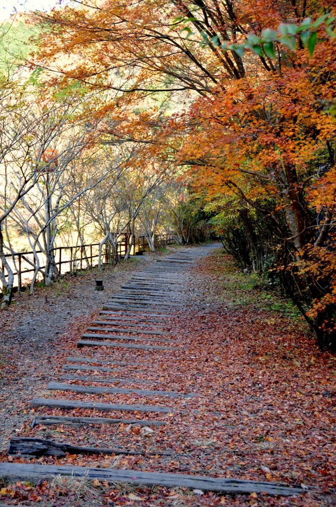 廃線跡