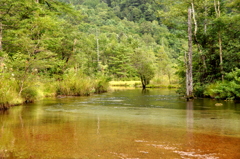 湿原