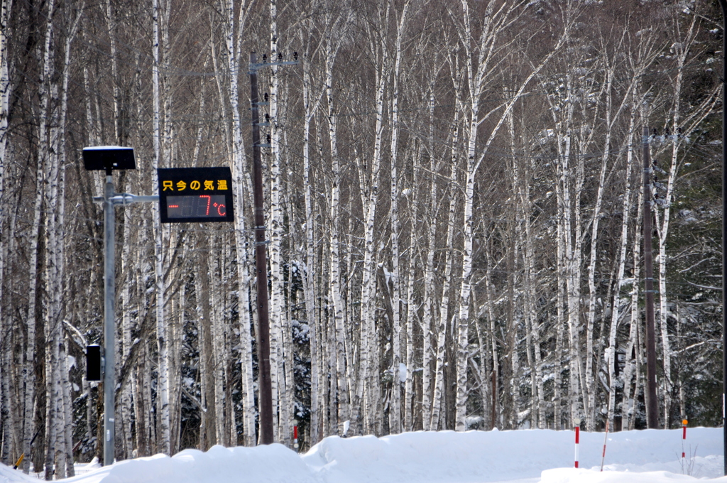 雪林