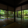 tranquil yard