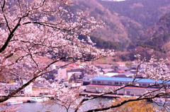 桜咲く港町