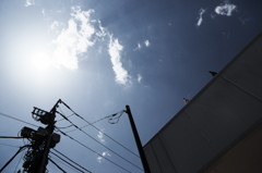 初夏の太陽