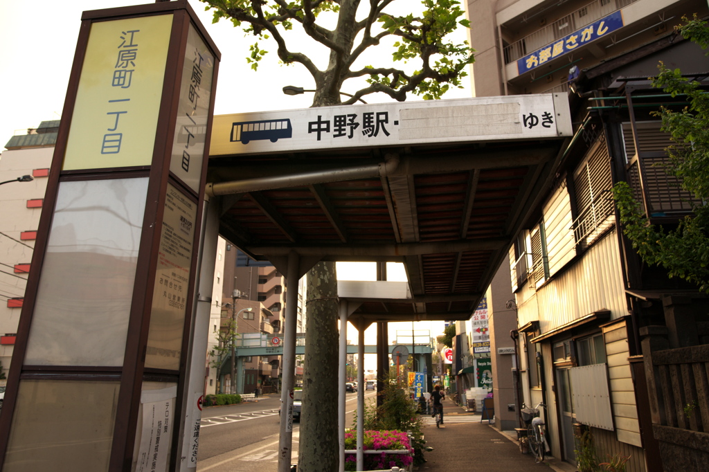 中野への道