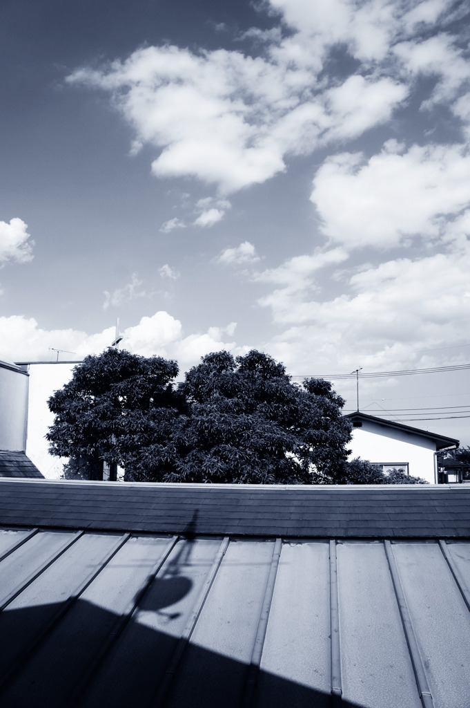 Parabola antenna`s Shadow