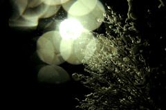 降雪
