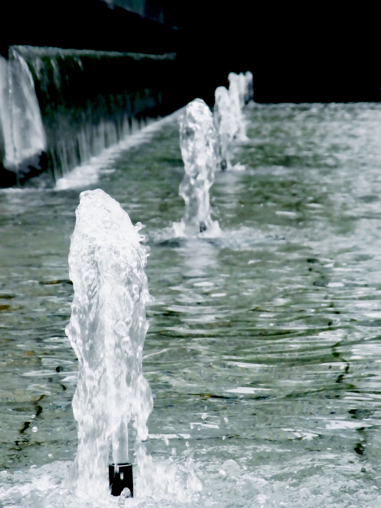 水 の 世 界